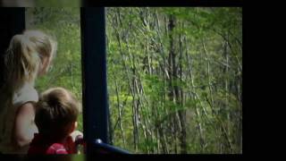 preview picture of video 'Blue Ridge Scenic Railway'