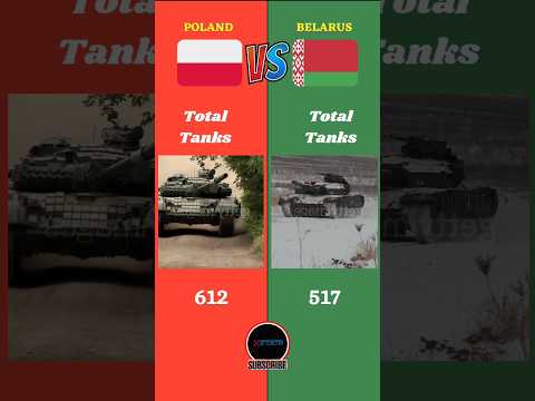 Poland Vs Belarus Military Comparison || #poland #belarus #battle #russia #europe