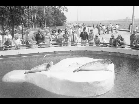 Kiel ● Kiel im Jahre 1973 (Juli-August)