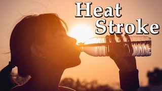 ☀Heat Stroke &amp; Sun Stroke | Ayurvedic Home Remedies for Heat Stroke | Sun Stroke Treatment at Home |