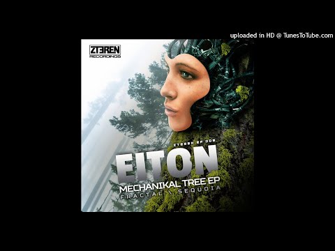 Eiton-Fractal