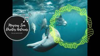 Ema Grace - With No Reason [Musica Sem Direitos Autorais]