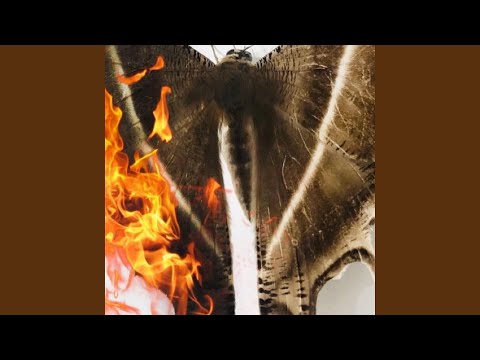 The Man Freestyle (feat. Nuebrasco)