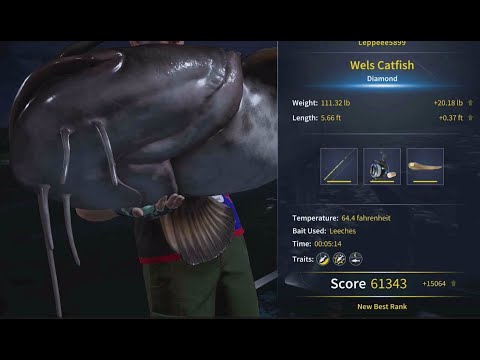 Diamond  Wels Catfish location on Spain. Call of the Wild the Angler.