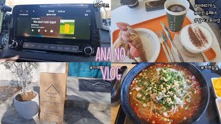 【Vlog】ある平凡な日韓夫婦のある日