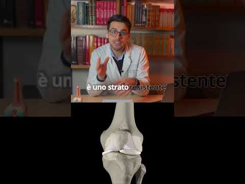 Emilio D'ignazio-4