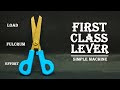 School Science Projects | Cardboard Scissor | First Class Lever