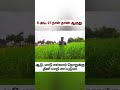 இந்த புல் போதும் அவ்வளவு நன்மைகள் பச�
