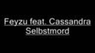 Feyzu feat. Cassandra-Selbstmord