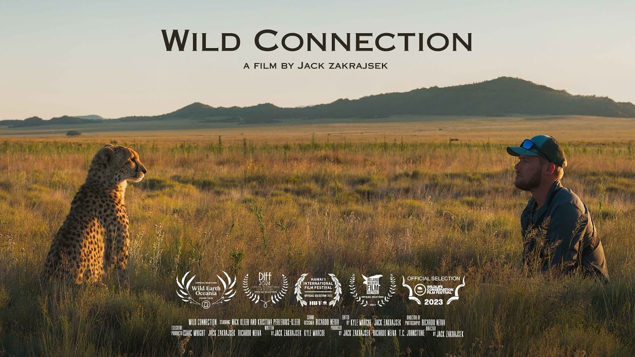 WILD CONNECTION - Award Winning Short Documentary