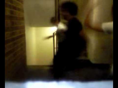 borja y suko hormiguero