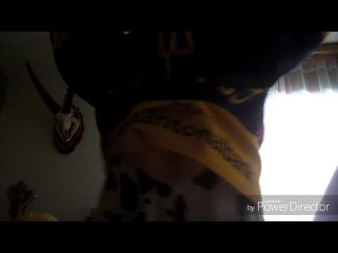 Die dümmste HCD KUH DER,,,,WELT,,