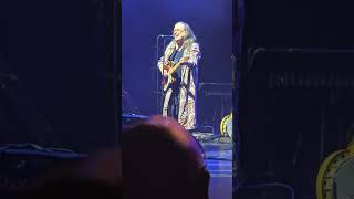 Violent Femmes - Kiss Off (Bridge) - Live -  #concert #punk #rock #livemusic