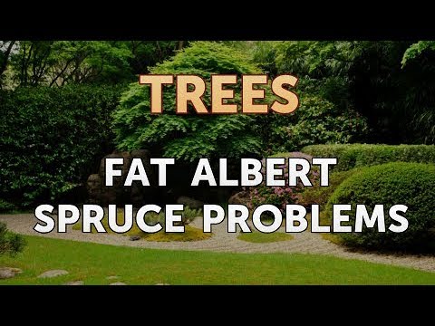 download lagu mp3 mp4 Fat Albert Blue Spruce For Sale, download lagu Fat Albert Blue Spruce For Sale gratis, unduh video klip Fat Albert Blue Spruce For Sale