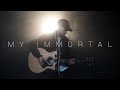 Evanescence - My Immortal (Acoustic Cover by Dave Winkler)