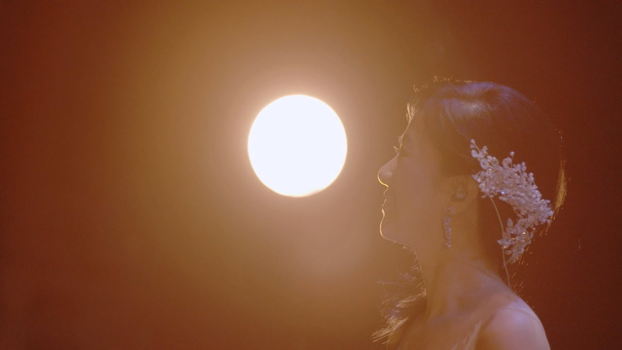 野の花 / 薬師丸ひろ子