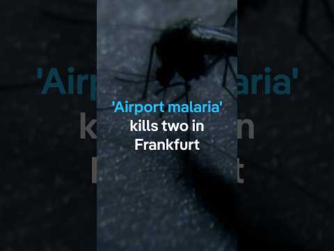 Two Frankfurt Airport staff die of 'airport malaria' | DW News