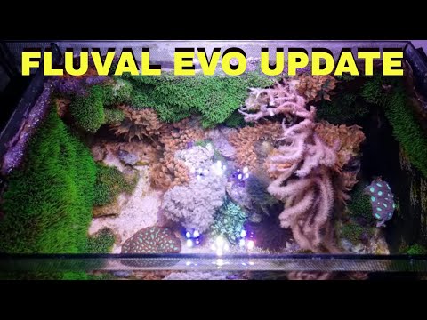 Mark's Aquatics is Back: Essential Fishkeeping Tips