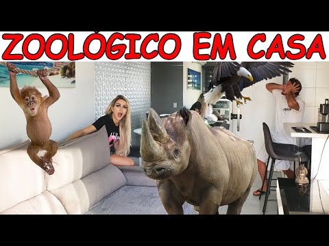 TRANSFORMAMOS A CASA EM UM ZOOLÓGICO