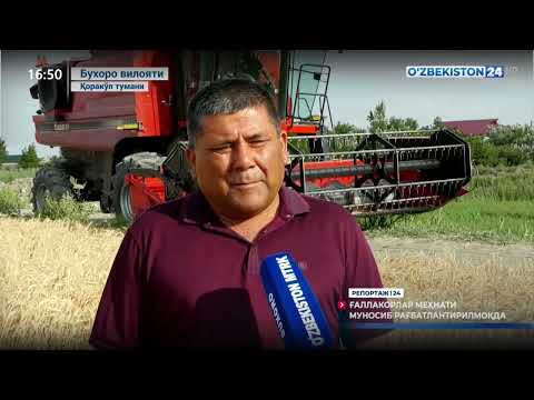 O‘zbekiston 24 telekanalida Buxoro gʻallakorlari faoliyati yoritildi