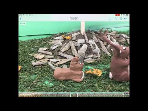 Watership Down Claymation - Scene 1 - The Sign