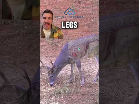 Way to put him down @HuntClubwithPhillipCulpepper ! #whitetail #deer #bowhunting