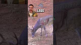 Way to put him down @HuntClubwithPhillipCulpepper ! #whitetail #deer #bowhunting