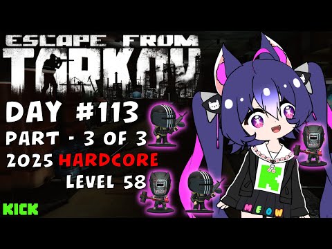 Escape from Tarkov: Level 58 PvP Solo - Cat VTuber - Part 3 of 3 - Day 113 thumbnail