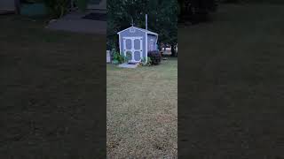 Video preview image #1 Labrador Retriever-Unknown Mix Puppy For Sale in Holly Springs, NC, USA