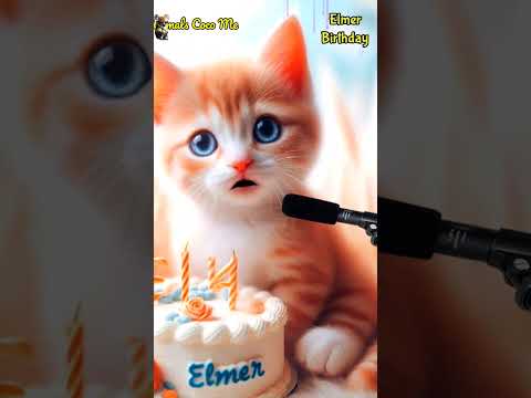 ELMER HAPPY BIRTHDAY | HAPPY BIRTHDAY SONG WITH NAMES | Adorable Cute Cat 😺 #cat #cute