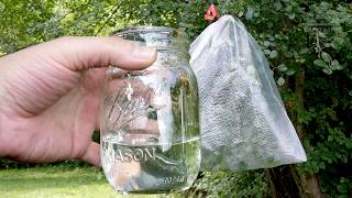Get Drinking Water from a Tree - Transpiration Bag Survival Trick