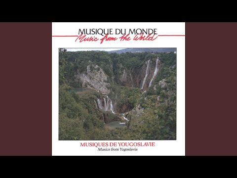 Ribani sa jadrana (dalmatie)