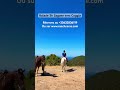 guide randonnée équestre corse saison 2026