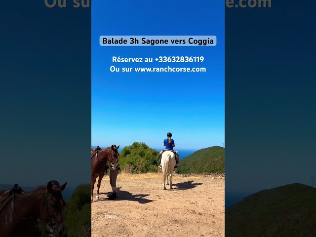 guide randonnée équestre corse saison 2026