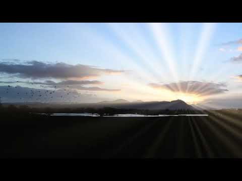 Soon - Yes. Relayer LP, 1974.  800% stretched