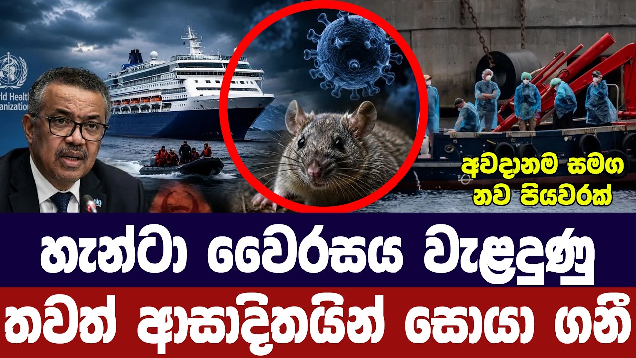 හැන්ටා වෛරසයේ තවත් ආසාදිතයින් හමුවෙයි