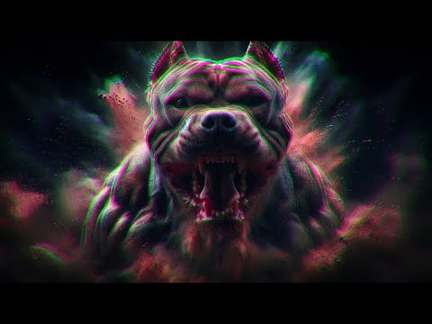 Eminem, 2Pac, Dr. Dre ,DMX ,Central Cee ...🔥 AGGRESSIVE RAP GYM WORKOUT MIX ft. Eminem , 2Pac ...