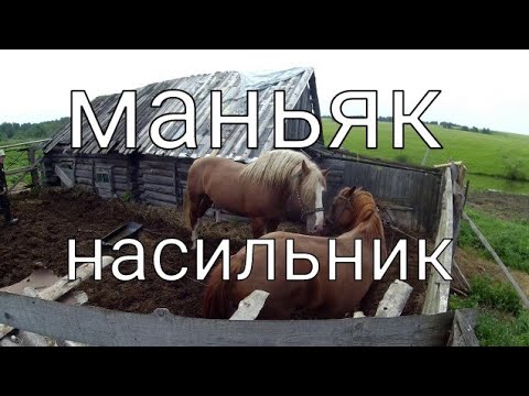 Живу как хочу/Конь- Маньяк-Насильник и бедная несчастная Лошадь-Кобылка/ Спариваются в загоне!