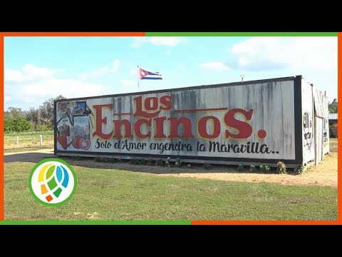 Integrantes de ECOMUJER intercambian en Consolación del Sur con lideres de proyectos sociales