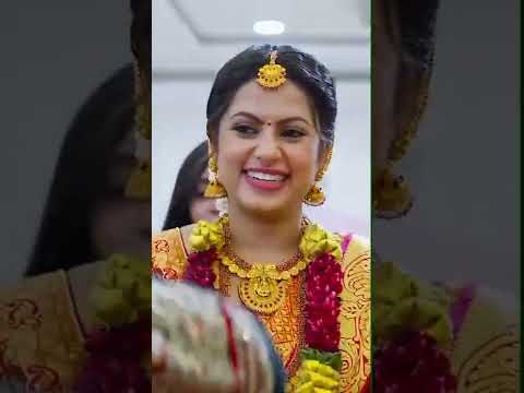 Ethir Neechal Serial | Wedding promo clip