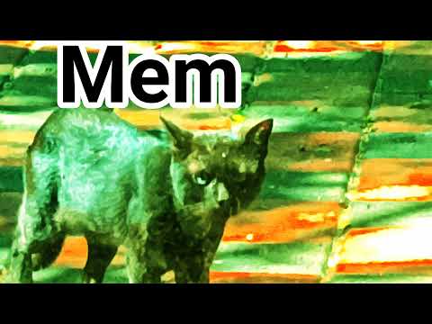 Memory - Look into what had noticed?