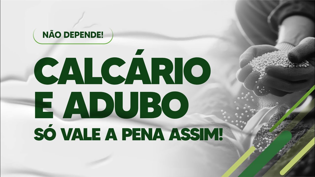 LIMESTONE, PLASTER AND FERTILIZER: WHAT YOU NEED TO KNOW