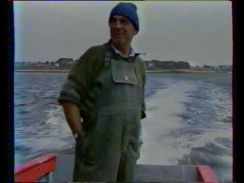 portrait jane birkin 1993