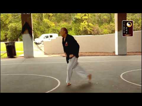 Basic: Back Stance in Motion – Sensei Rod Lindgren