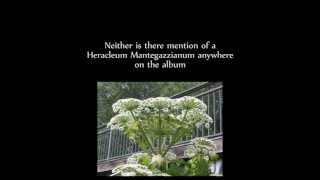 The Tangent - Le Sacre Du Travail Teaser Trailer