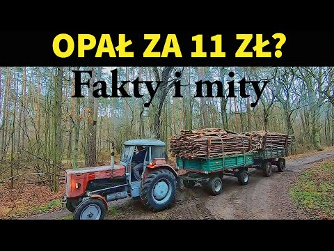 CHEAP FUEL? || Facts and myths about DIY wood production || COMPETITION!!! || Through the eyes of...