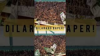Download lagu Dihadapan BCS 'Singone Dadi Kucing' | PSS vs Arema mp3