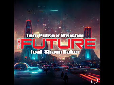 Tom Pulse & Weichei feat. Shaun Baker - The Future