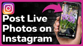 How To Post A Live Photo On Instagram