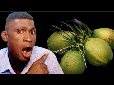 lèw reve kokoye me kisa li vledi 💯👌 fr Joseph Enel55